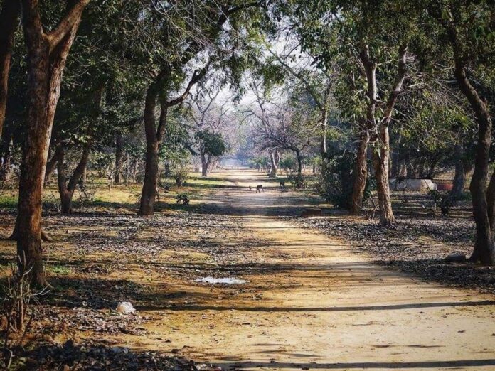 384ac846cddd32bf7f2c6164803a6f93