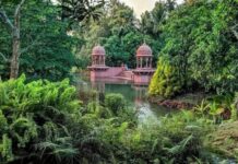 The 132 Forests Listed In Vraja-Bhakti-vilasa