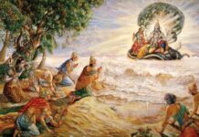 Srimad Bhagavatam | Canto 5 Chapter 19 | A Description Of The Island Of Jambūdvīpa