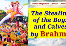 Srimad Bhagavatam | Canto 10 Chapter 13 | The Stealing Of The Boys And Calves By Brahmā