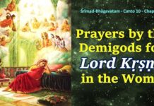 Srimad Bhagavatam | Canto 10 Chapter 2 | Prayers By The Demigods For Lord Kṛṣṇa In The Womb