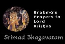 Srimad Bhagavatam | Canto 10 Chapter 14 | Brahmā’s Prayers To Lord Kṛṣṇa