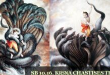 Srimad Bhagavatam | Canto 10 Chapter 16 | Kṛṣṇa Chastises The Serpent Kāliya