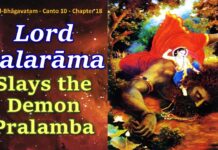 Srimad Bhagavatam | Canto 10 Chapter 18 | Lord Balarāma Slays The Demon Pralamba