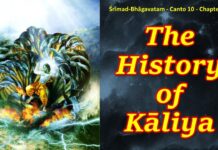 Srimad Bhagavatam | Canto 10 Chapter 17 | The History Of Kāliya