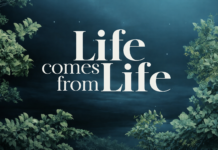 Life Comes From Life: Origin Of Life Explained