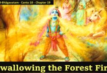 Srimad Bhagavatam | Canto 10 Chapter 19 | Swallowing The Forest Fire