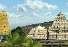Simhachalam Temple: Why Is Lord Narasimha Covered In Sandal?