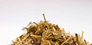 Basti Therapy Benefits: How Ayurvedic Enema Works