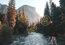 Five Elements Theory: How Matter Creates Experience