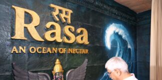 Rasa Museum ISKCON Delhi: What Makes It Unique