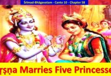 Srimad Bhagavatam | Canto 10 Chapter 58 | Krishna Marries Five Princesses
