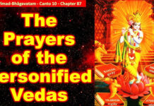 Srimad Bhagavatam | Canto 10 Chapter 87 | The Prayers of the Personified Vedas