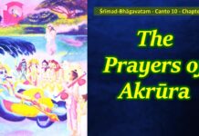 Srimad Bhagavatam | Canto 10 Chapter 40 | The Prayers of Akrüra