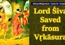 Srimad Bhagavatam | Canto 10 Chapter 88 | Lord Shiva Saved from Vakäsura