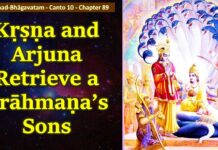 Srimad Bhagavatam | Canto 10 Chapter 89 | Krishna and Arjuna Retrieve a Brahmana’s Sons