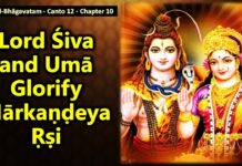Srimad Bhagavatam | Canto 12 Chapter 10 | Lord Shiva and Uma Glorify Markandeya Rishi