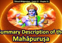 Srimad Bhagavatam | Canto 12 Chapter 11 | Summary Description of the Mahapurusa