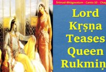 Srimad Bhagavatam | Canto 10 Chapter 60 | Lord Krishna Teases Queen Rukmani