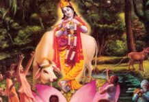 Krishna Consciousness: Why Does Krishna Test Devotees?